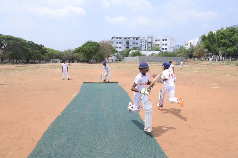 Cricket.JPG